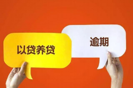 催收公司协商网商贷：化解债务危机的途径
